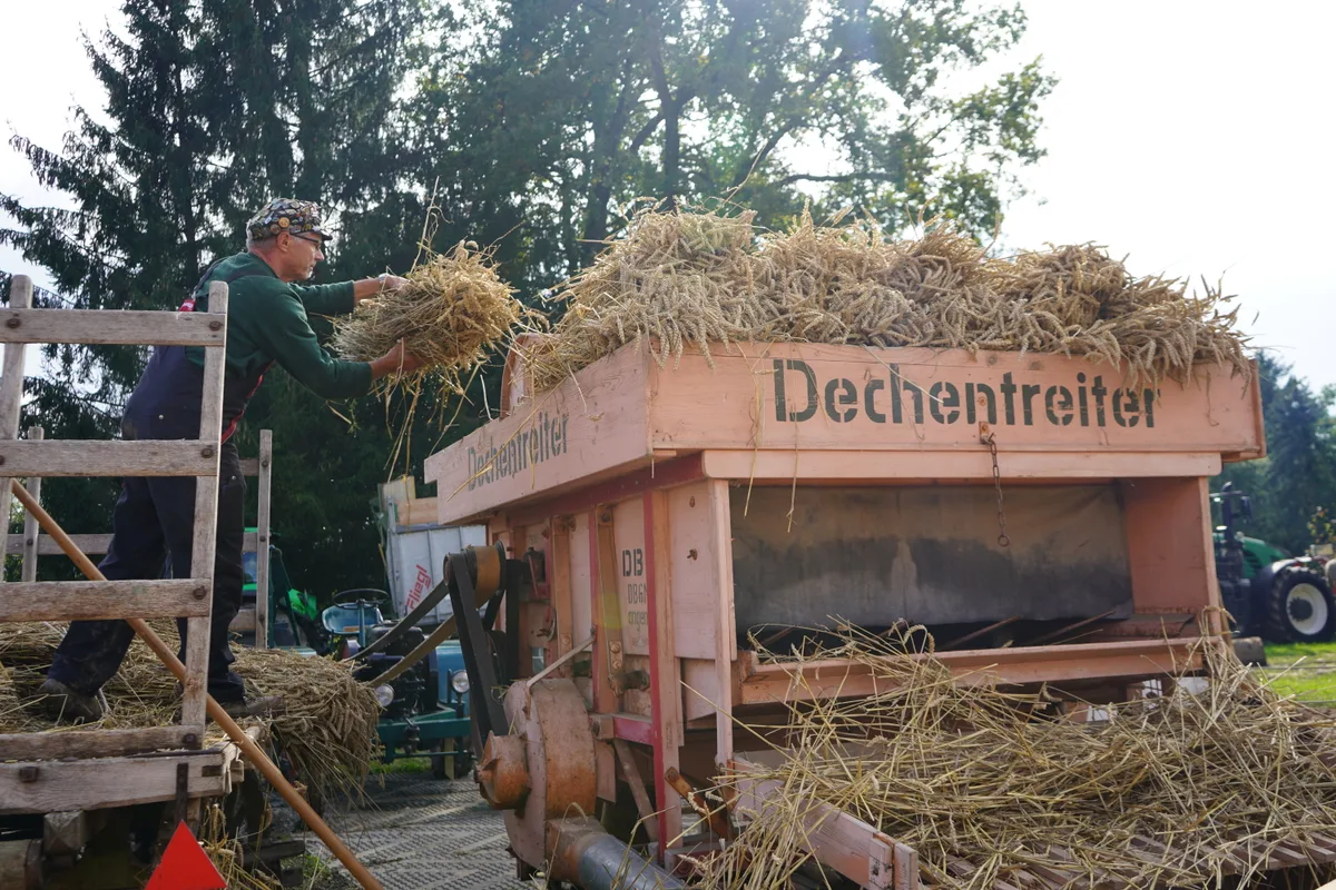 Der Markt in Grüningen